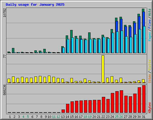 Daily usage for January 2025