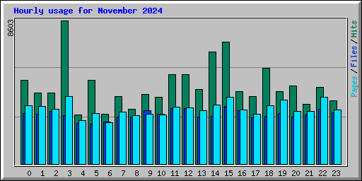 Hourly usage for November 2024