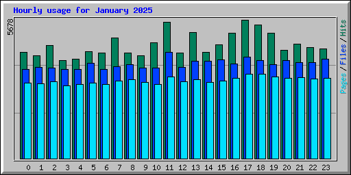 Hourly usage for January 2025