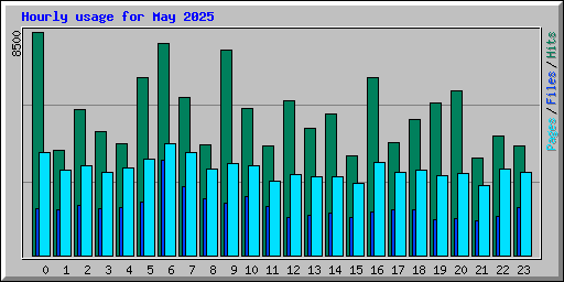 Hourly usage for May 2025